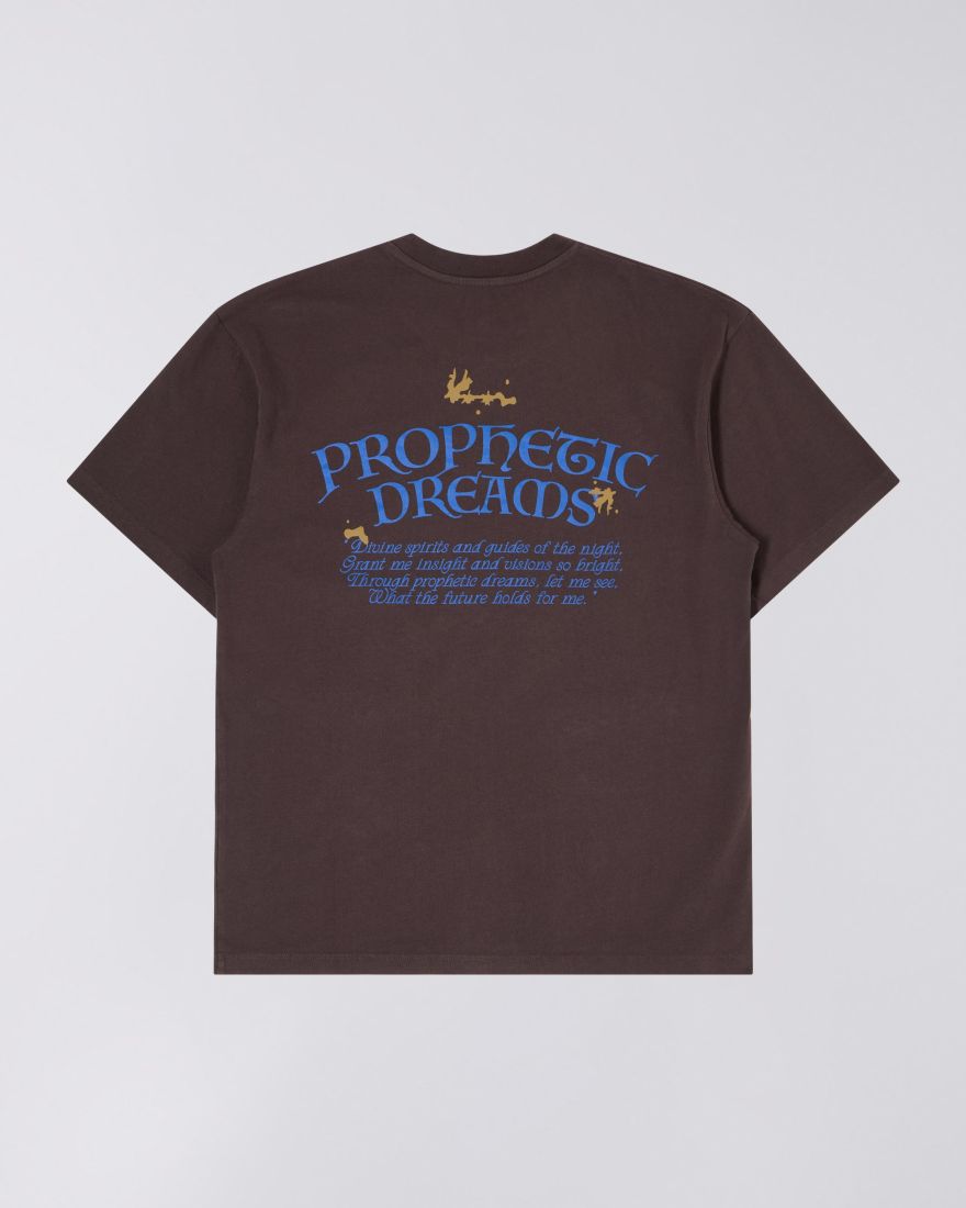 Prophetic Dreams T-Shirt 