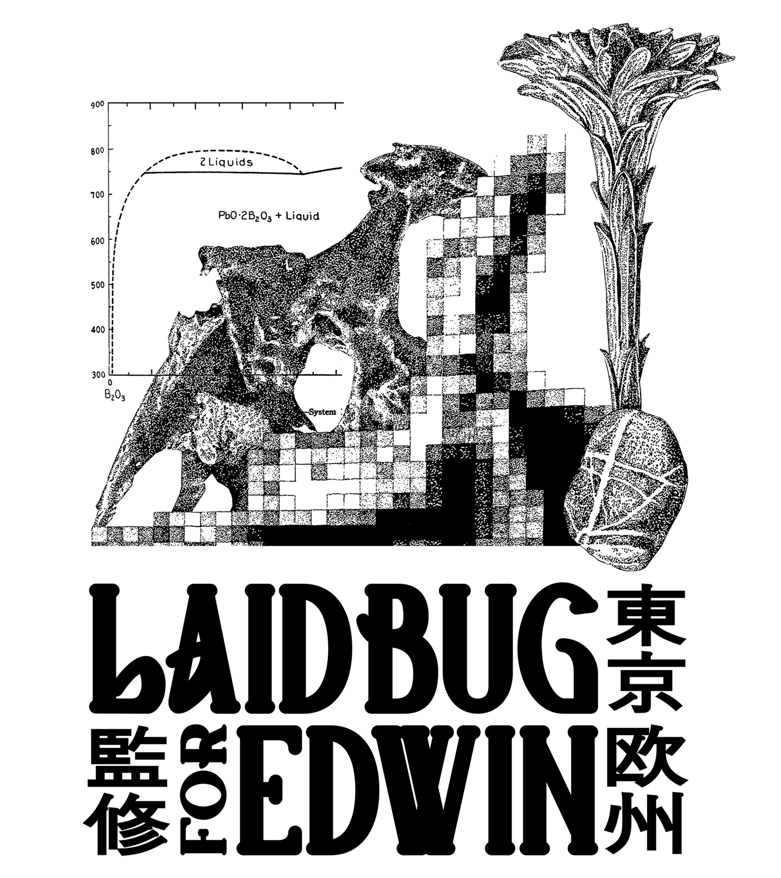 EDWIN Spring Summer 2024 Laidbug Tokyo Editorial Graphic Art